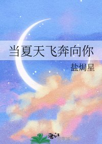 当夏天飞奔向你